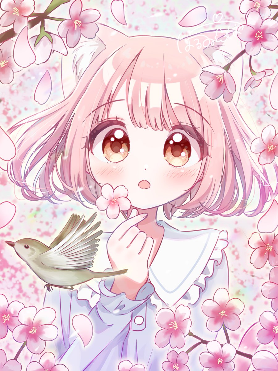 はるゐろは🌸 tweet media