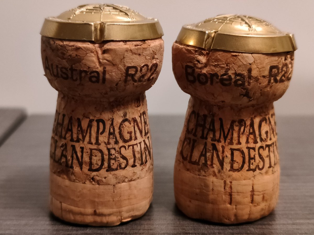 Mokofin hispalensis 🍲🥂🎬🐈🌳 tweet media