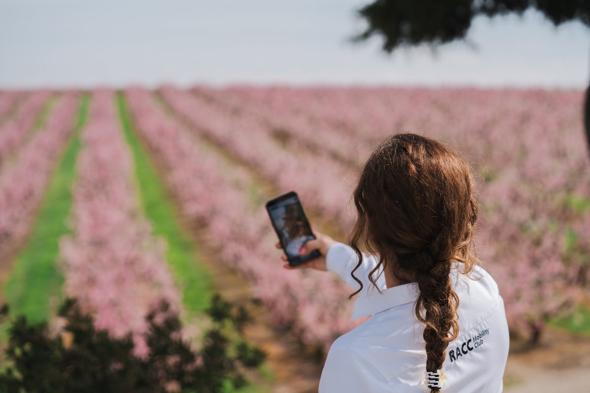 RACC Mobility Club tweet media