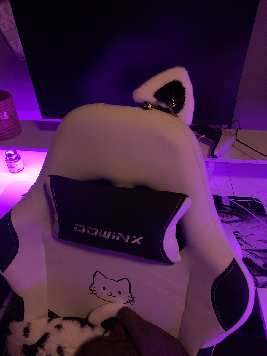 いるにゃん tweet media