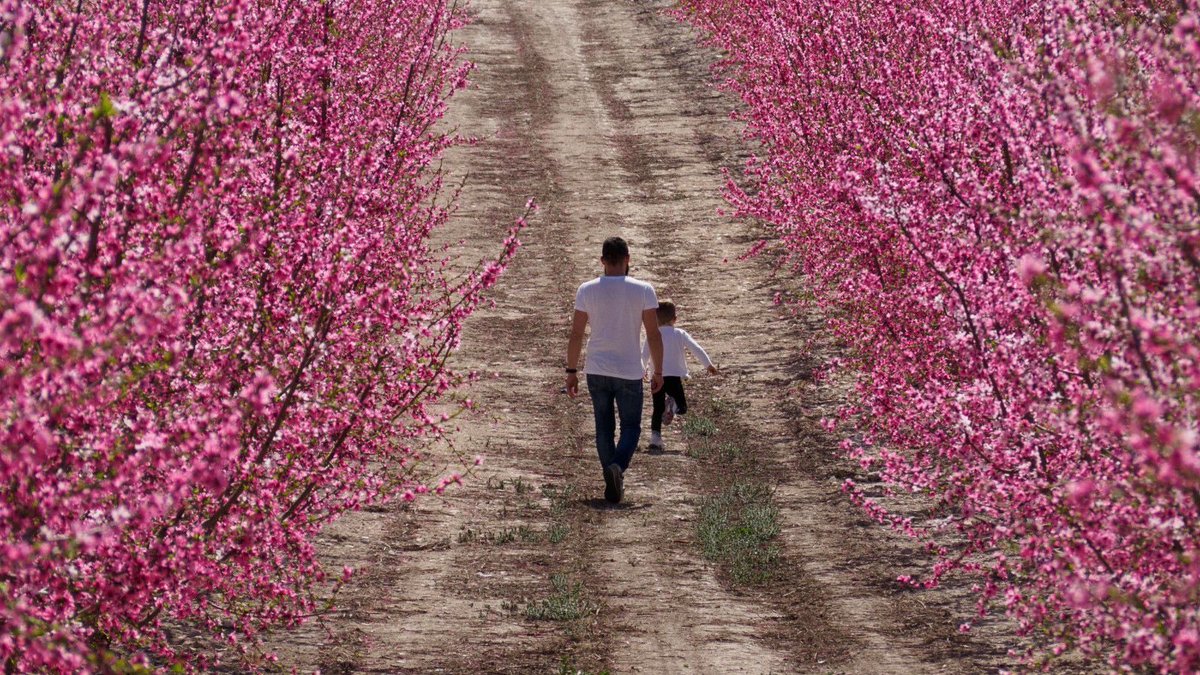 Embassy of Spain UK tweet media