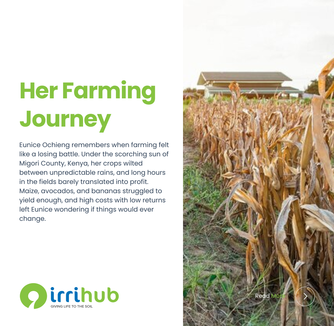 Irri-Hub KE tweet media