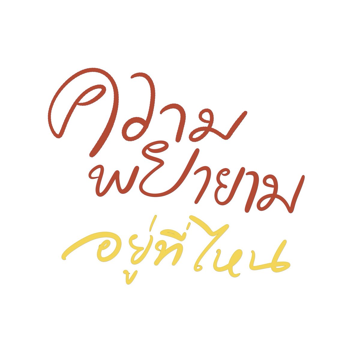 rorose🥤 tweet media