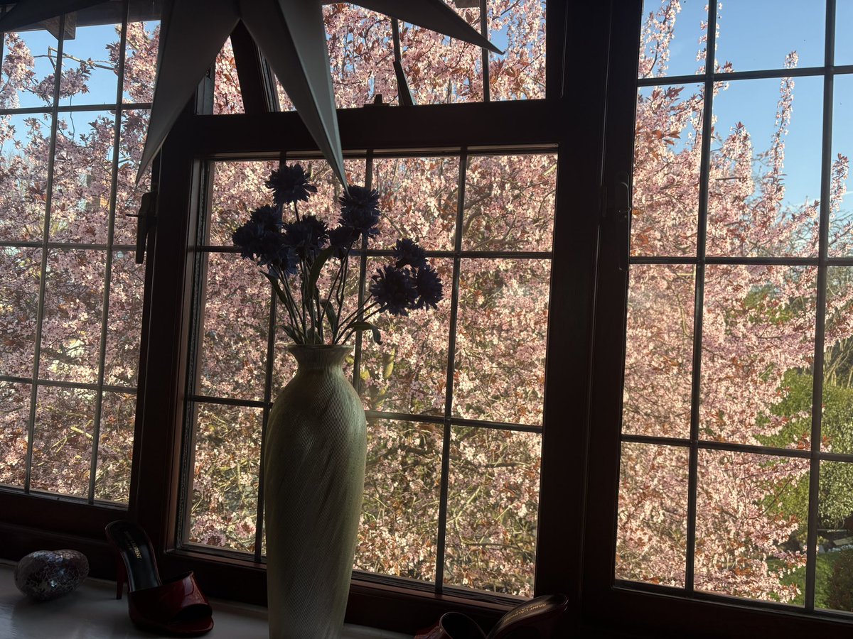 PoliceStationRep tweet media