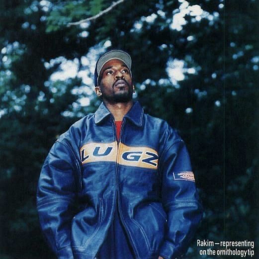 Percless tweet media