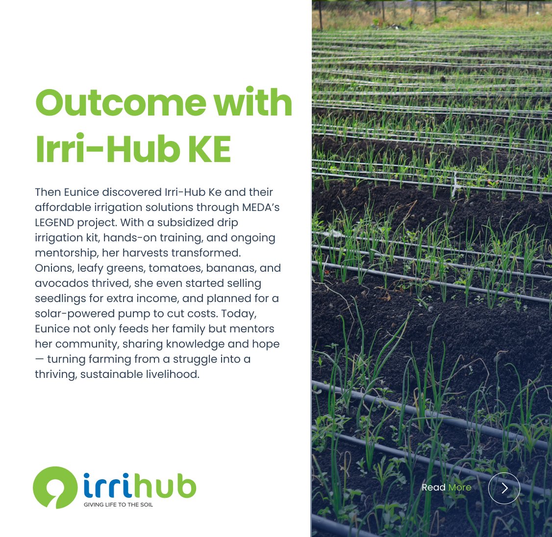 Irri-Hub KE tweet media