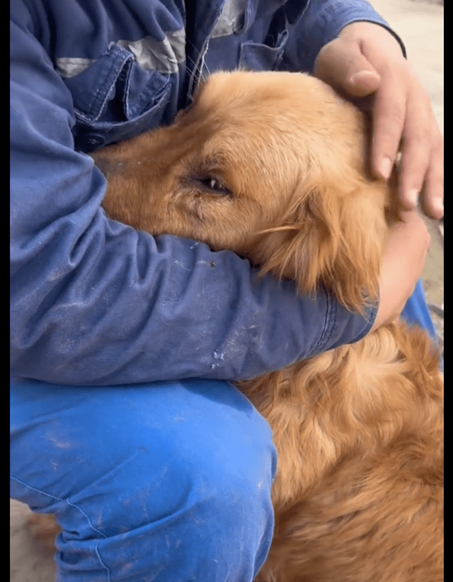 Rachel Kowalenko tweet media