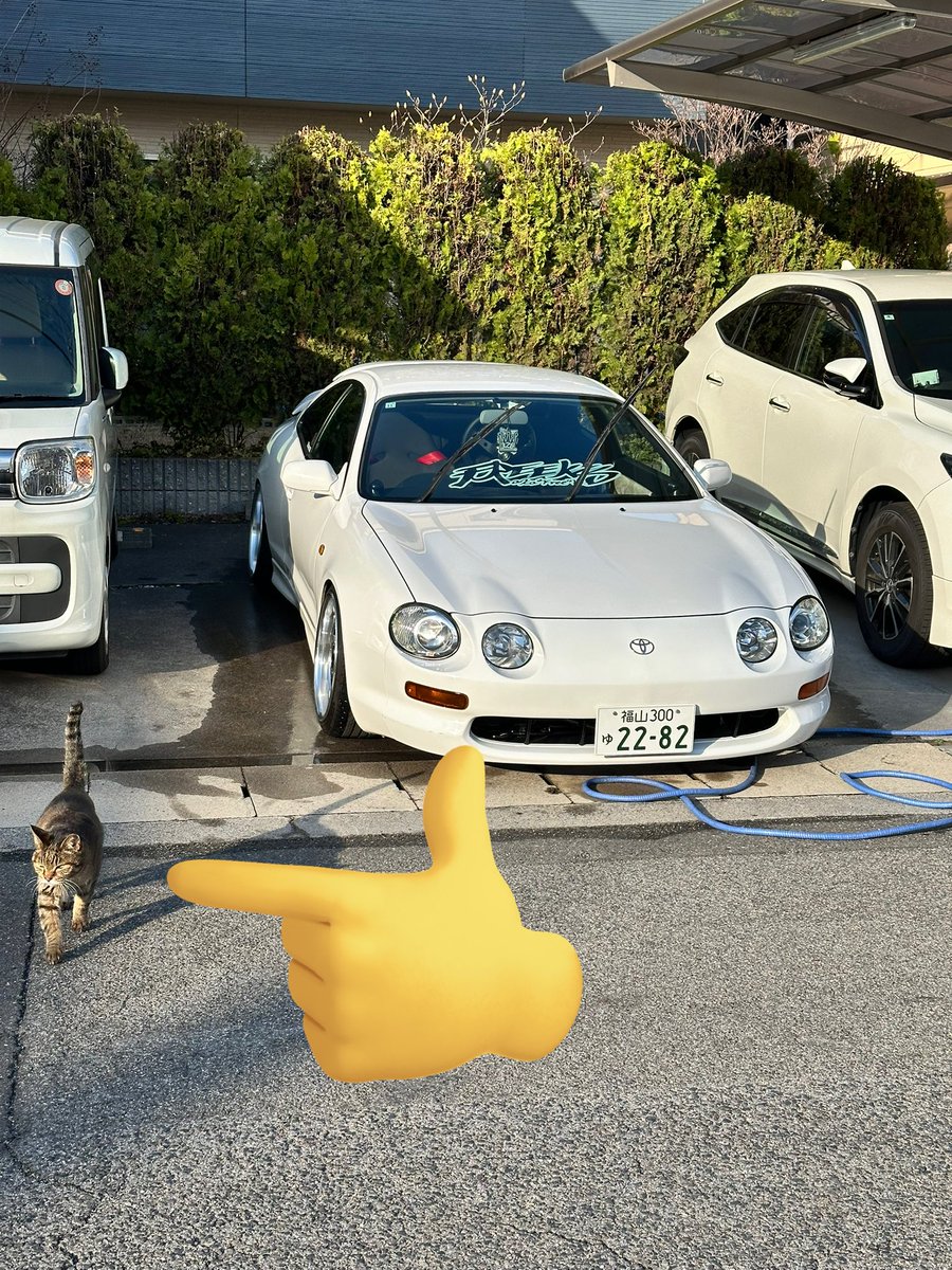 ｲｷﾘなめｷｬﾝらからかﾊﾞｯｸプリンﾌﾟふぉが〜ｳｨ-ｽﾏｽﾀｰおかざき tweet media