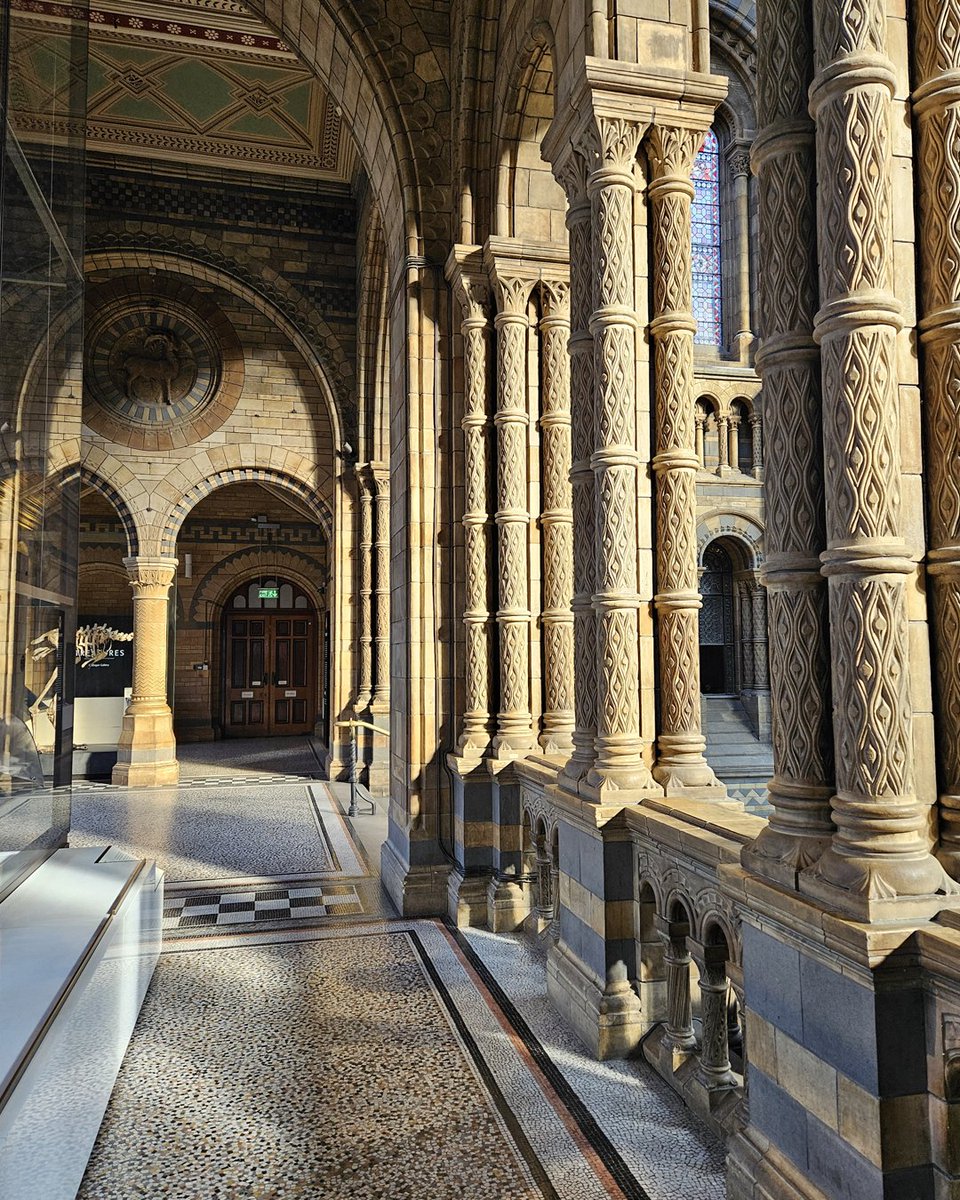 Natural History Museum tweet media