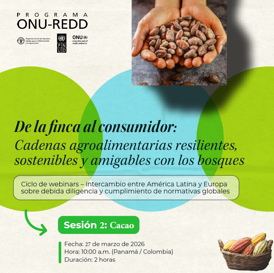 UN-REDD Programme tweet media