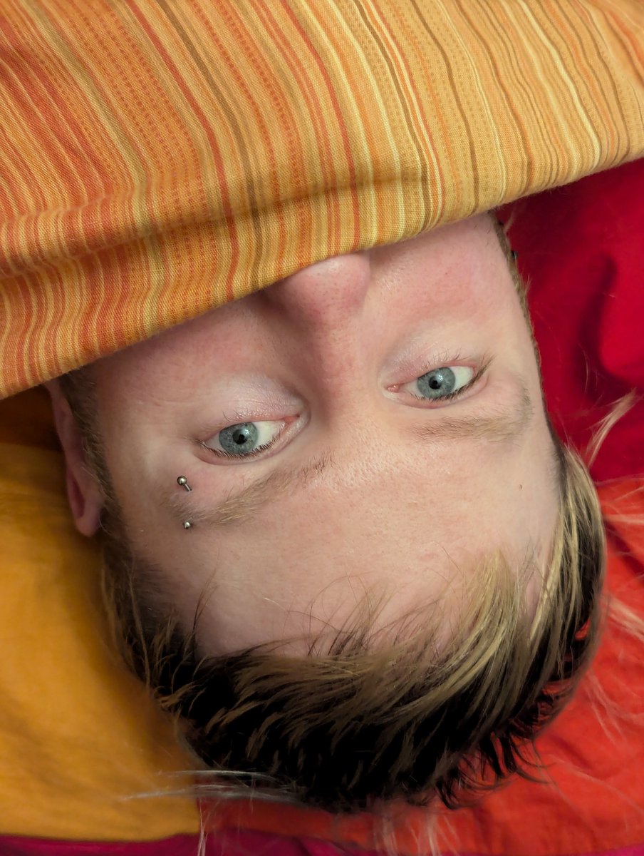 🕸️ BlueFolly 🕷️ tweet media