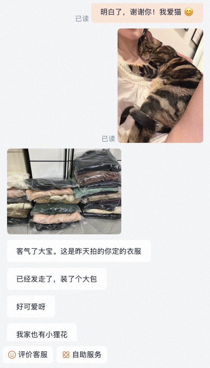 isladeluca's tweet image. i've been talking to my vtg fur wholesalers overseas and one of them is just selling clothes to fund food for stray cats ❤️😭 #ONEWORLD united through cat pics
