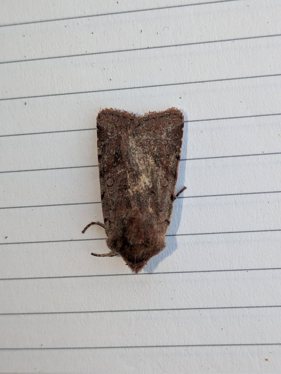 Karen Hargreave tweet media