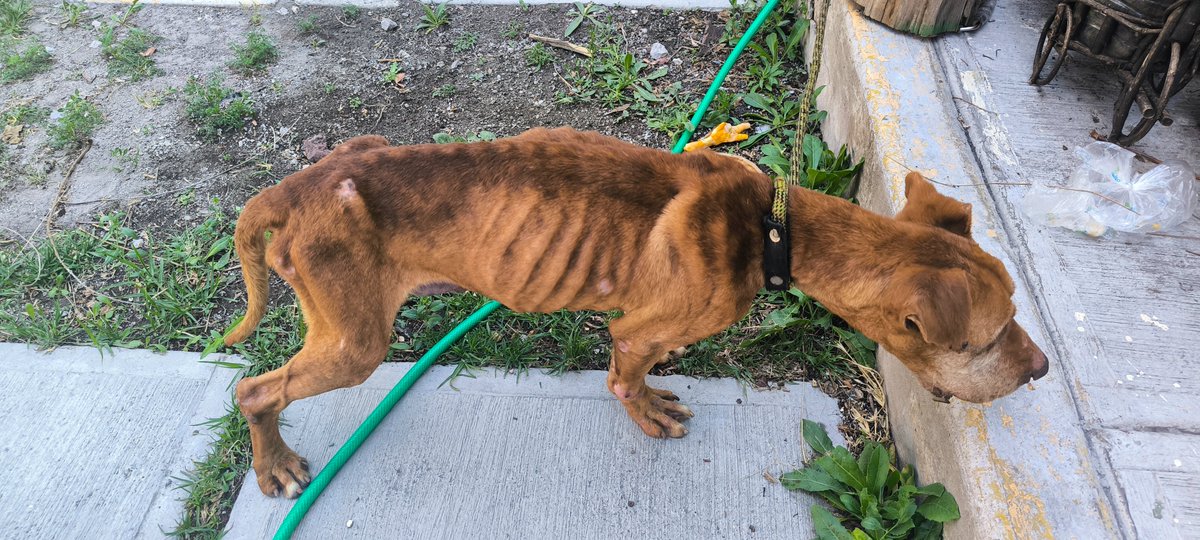 IsraelCs tweet media