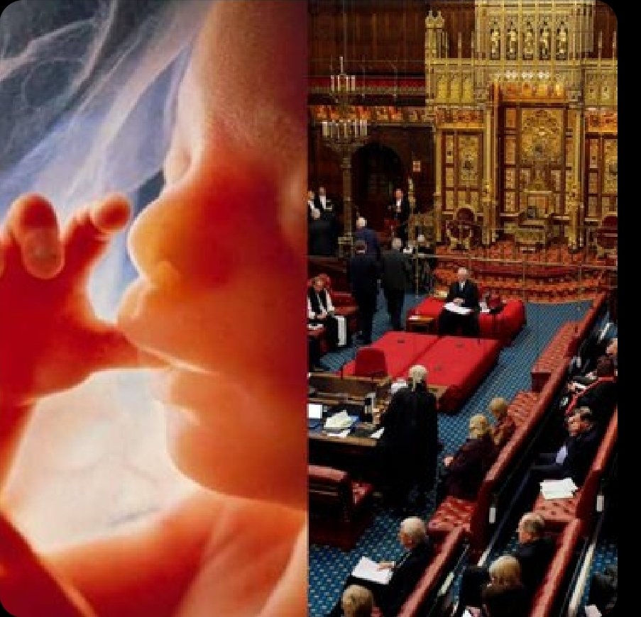 Simone Pillon tweet media