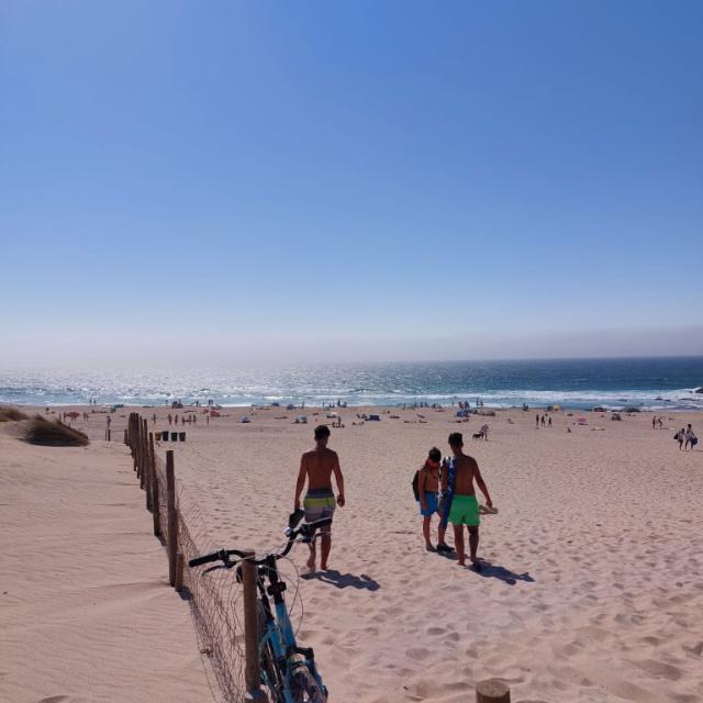 Santiago Aparicio tweet media