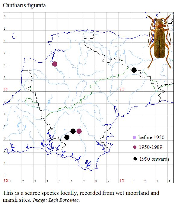 DA Executive Secretary tweet media