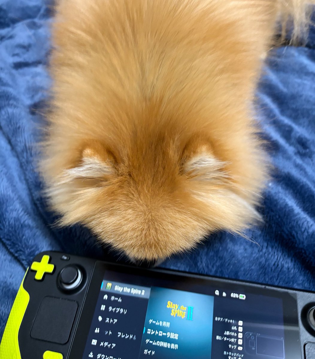 EBIKECHI tweet media