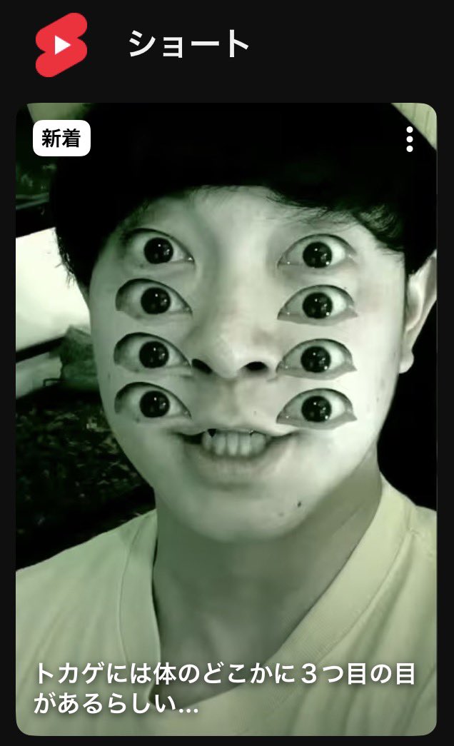 ぜろまるペッツ tweet media