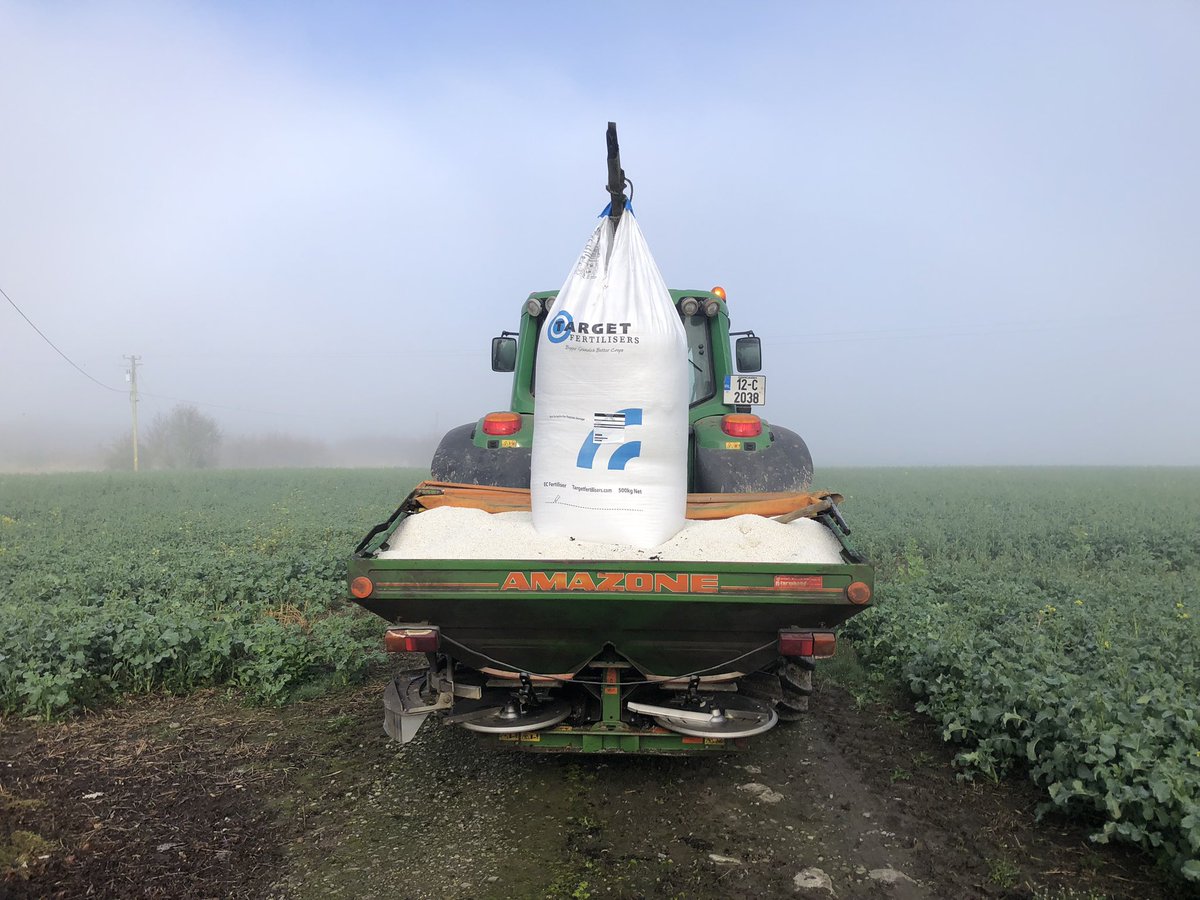 Samuel Deane tweet media