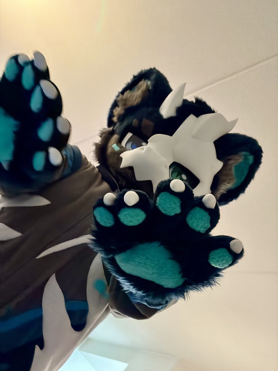 Haliekki tweet media