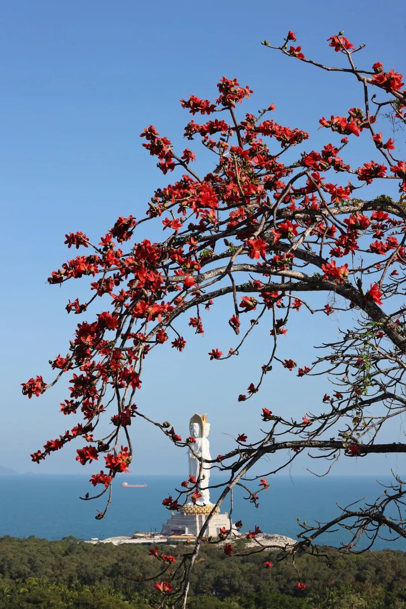 Visit Sanya tweet media