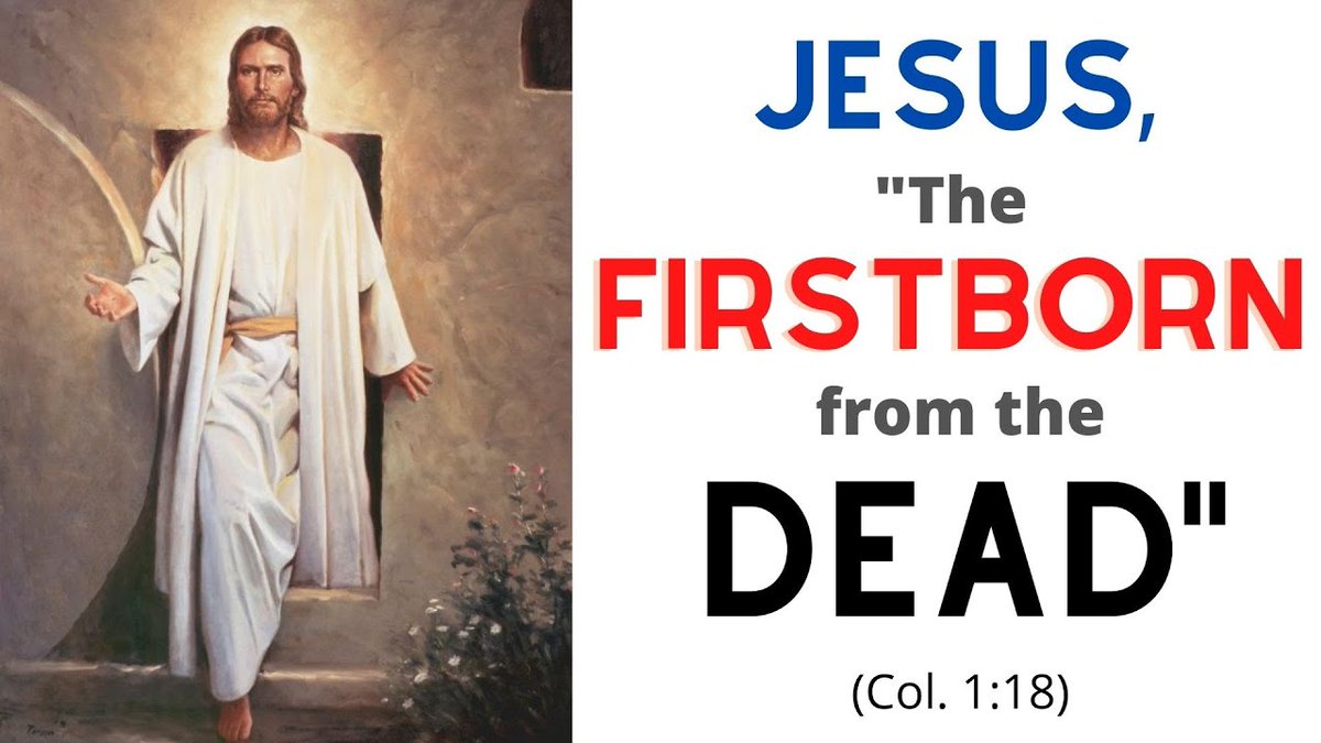 Francis York tweet media