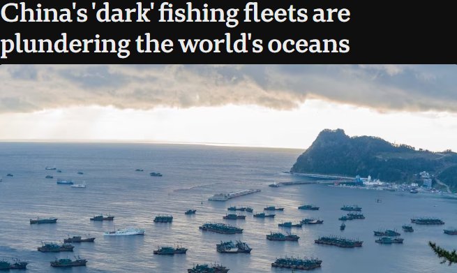 Nguyen Thi hong tweet media