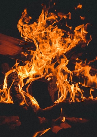 The Observer tweet media