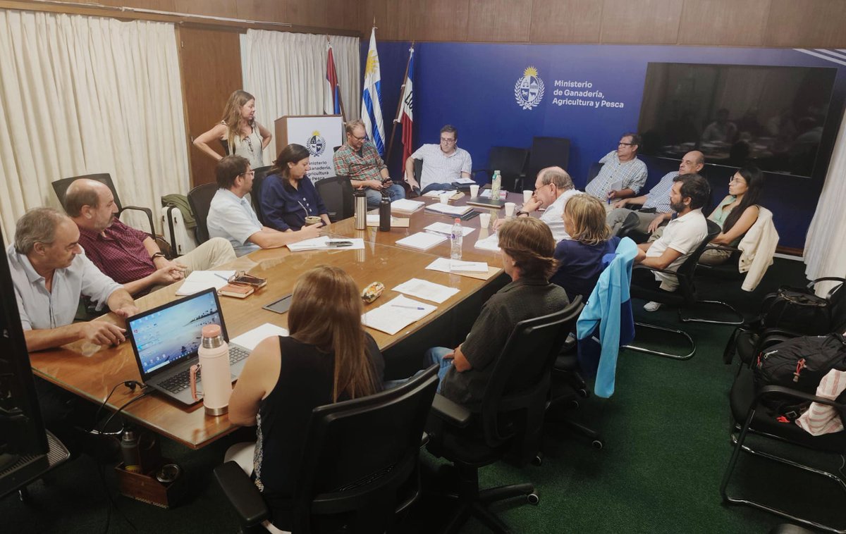 Daniel Berti tweet media