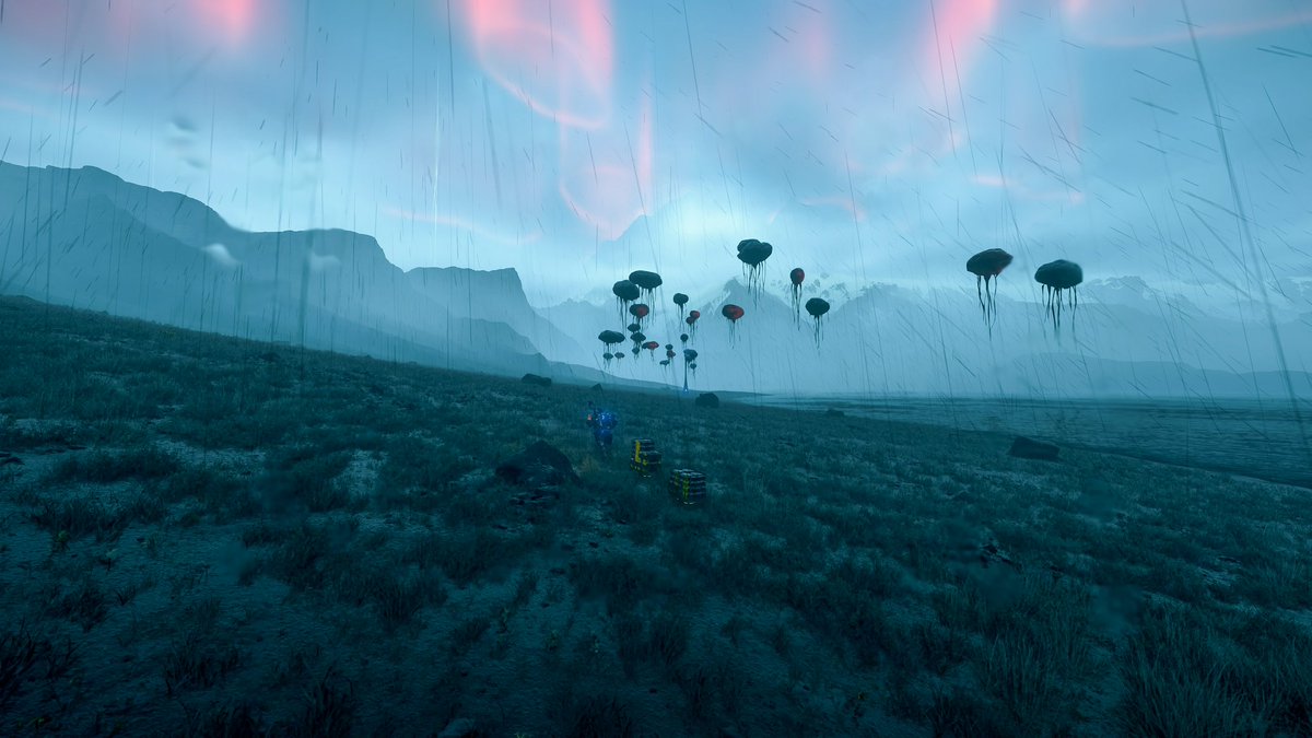 Giorgio Raimondi VP (On The Beach 📸) tweet media