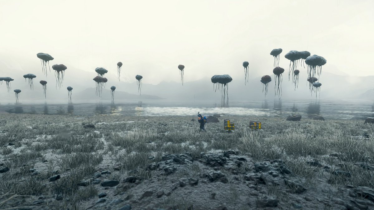 Giorgio Raimondi VP (On The Beach 📸) tweet media