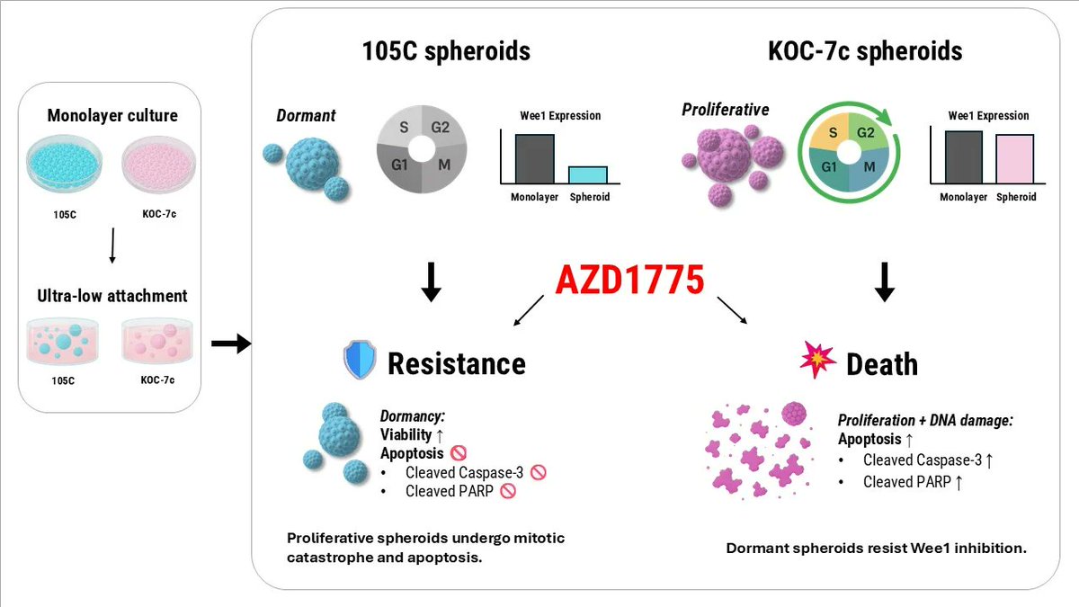Cells MDPI tweet media