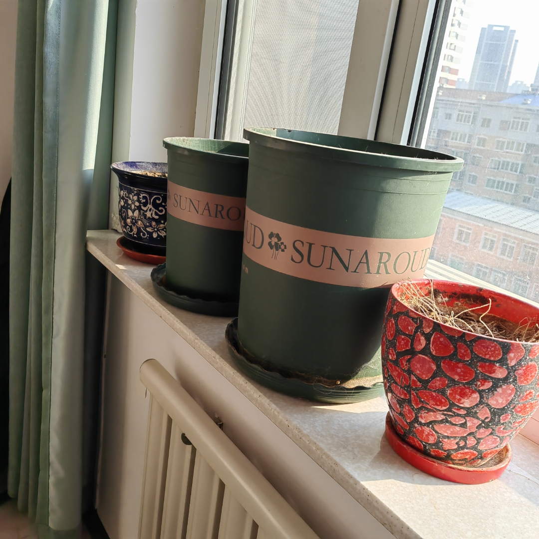 AMENU PHILIP tweet media