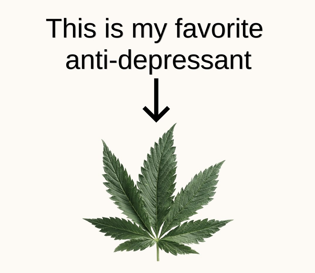 Medical Grower 420 🇺🇸 tweet media