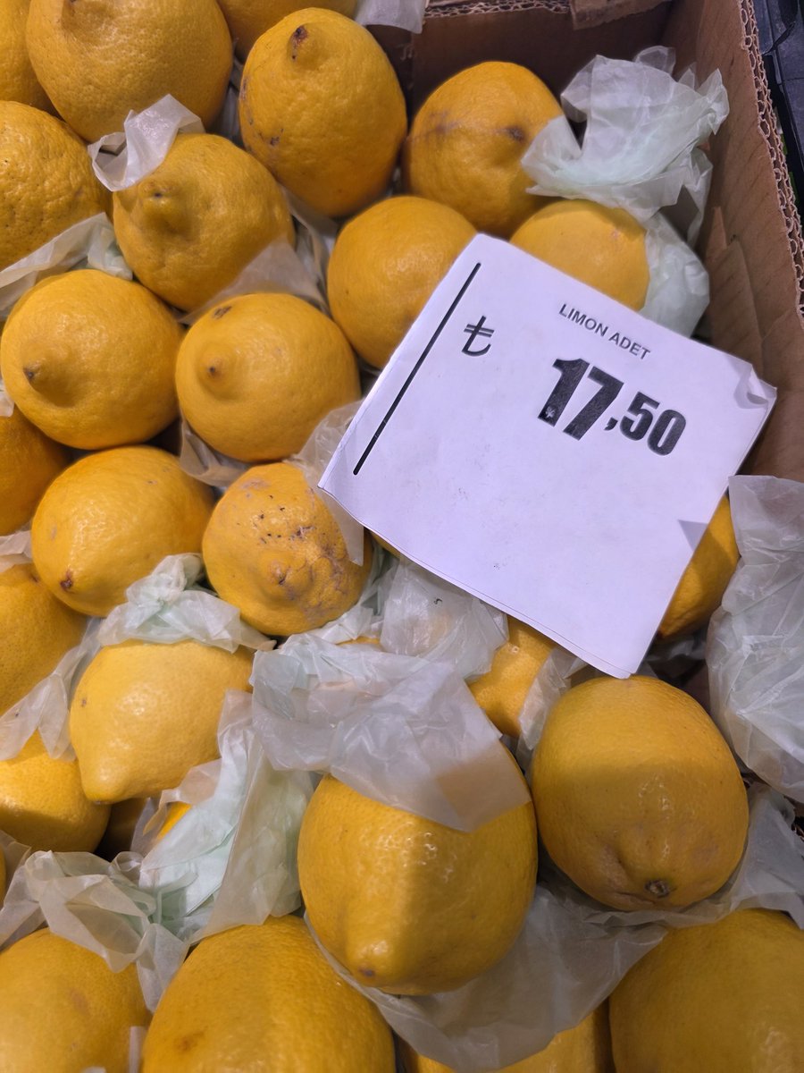 Cemal Enginyurt tweet media