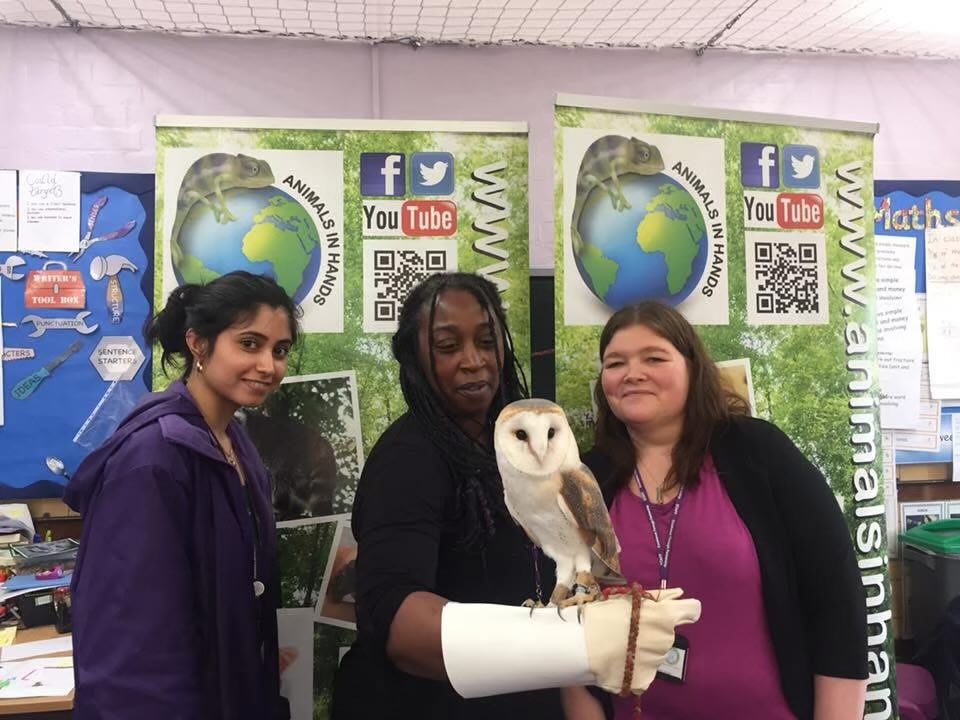 AnimalsinHands's tweet image. Bringing Science to life.
British science week workshops in schools.
#britishscienceweek2026 
#animalmanbirmingham #mobilezoo #animalhandlingworkshopsuk #animalpartiesuk animalsinhands.com