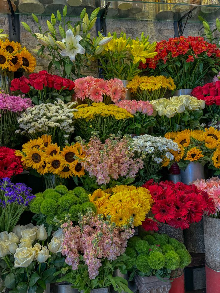 Bloomify tweet media