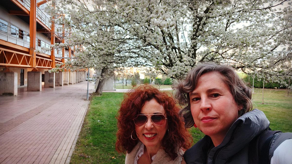 Conchi Lillo🧠🔬👀 tweet media