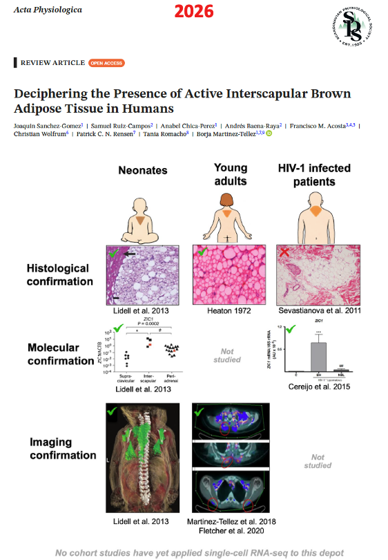 Borjammt tweet media