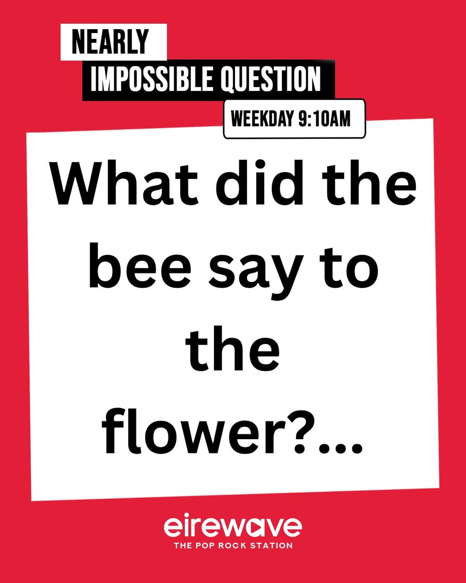 eirewave tweet media