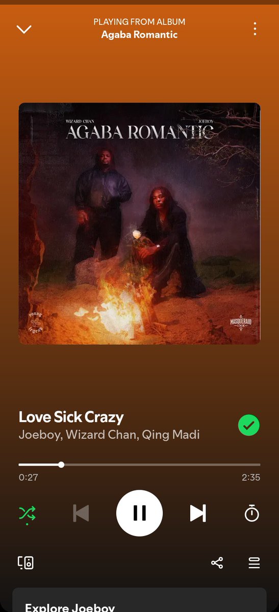 chinaza112's tweet photo. Sometimes we love just to be with people who understands but you see @_WizardChan_ ,@Joeboy and Quin Madi they make the most beautiful songs ever 🥹❤️... Believe me agaba romantic 🤍🏹 is magic and beautiful 😍🥹😊 https://t.co/2kG8vBhT5E
