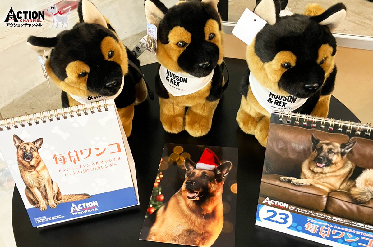 アクションチャンネル（旧ＡＸＮ 海外ドラマ） tweet media