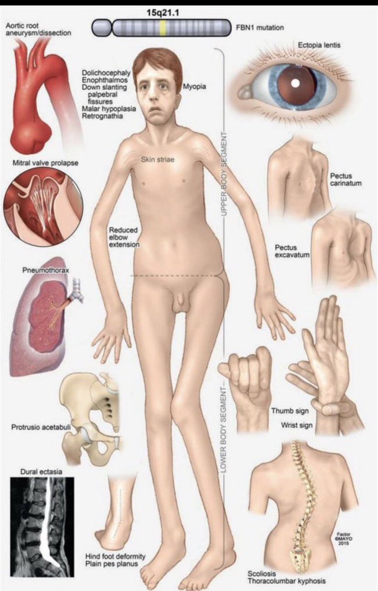 The Woke Evil Mind Virus tweet media