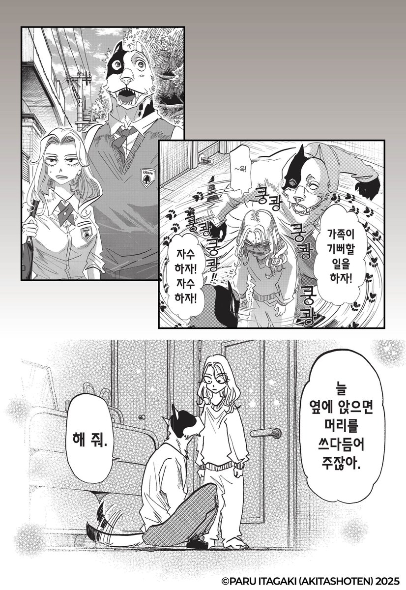 소미미디어 SomyMedia tweet media