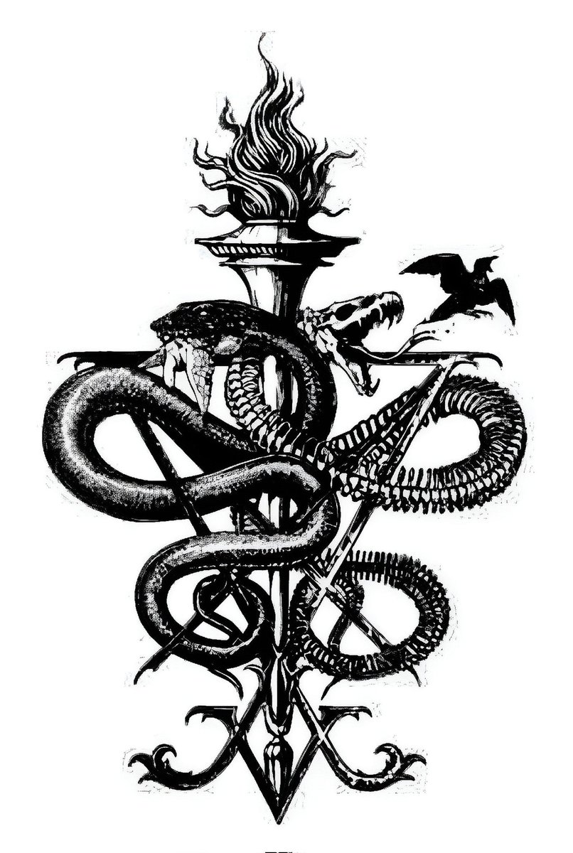 Andy O'Brien-Pereira tweet media