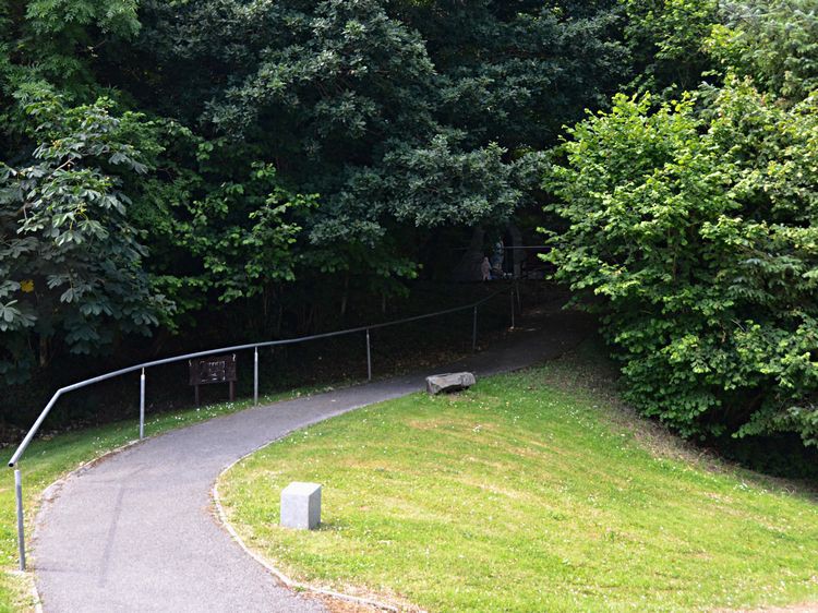 WeLoveDonegal tweet media