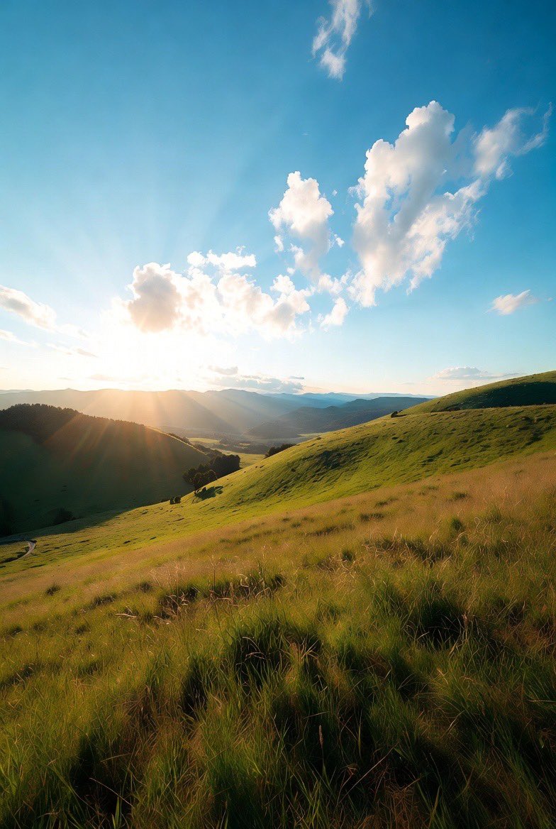 whiskey alvacado tweet media