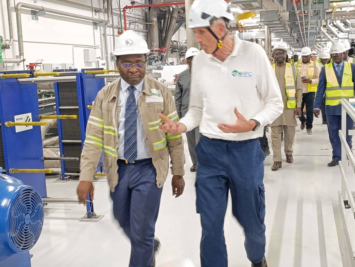 The Cameroonian 🇨🇲 tweet media