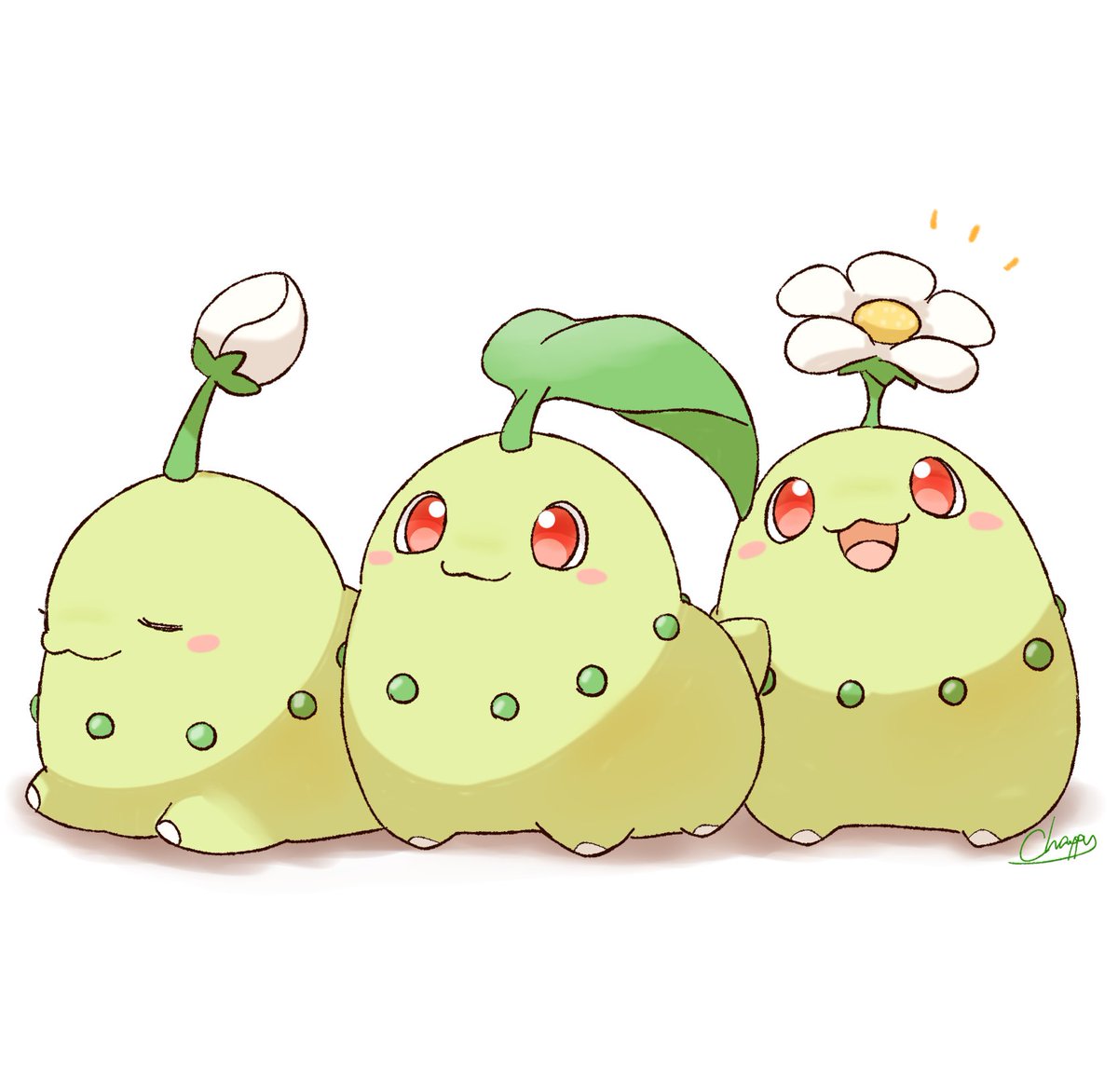 チャッピー🦊🐾 tweet media